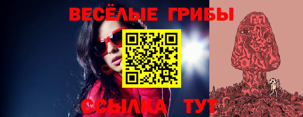 Псилоцибиновые грибы GOLDEN TEACHER Кыштым