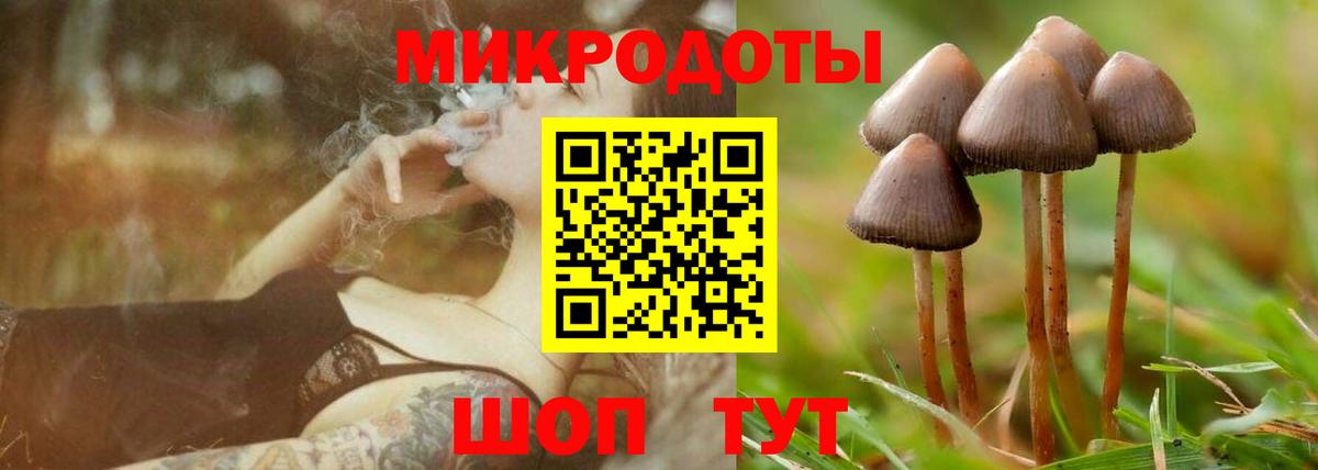 Галлюциногенные грибы Magic Shrooms  Вход с VPN  Кыштым  Галлюциногенные грибы Cubensis 